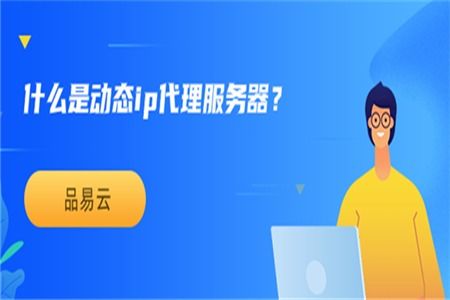 動(dòng)態(tài)IP代理服務(wù)器與票務(wù)代理服務(wù) 概念、應(yīng)用與差異解析
